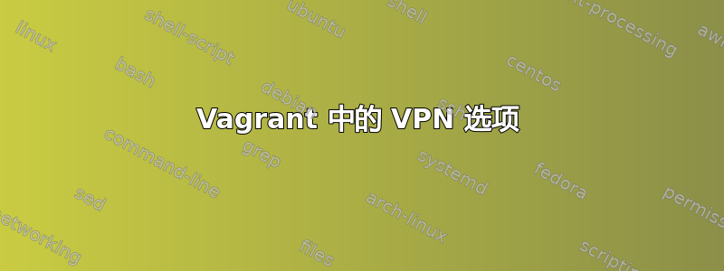 Vagrant 中的 VPN 选项