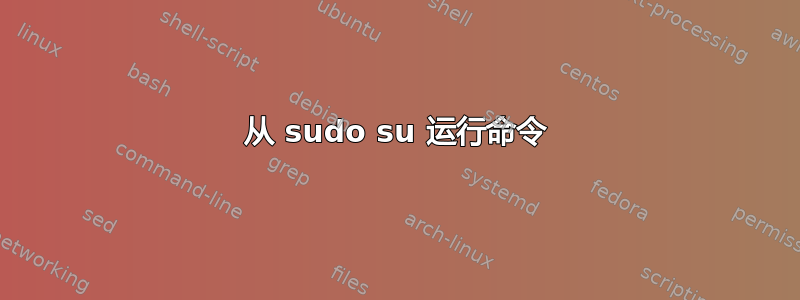 从 sudo su 运行命令