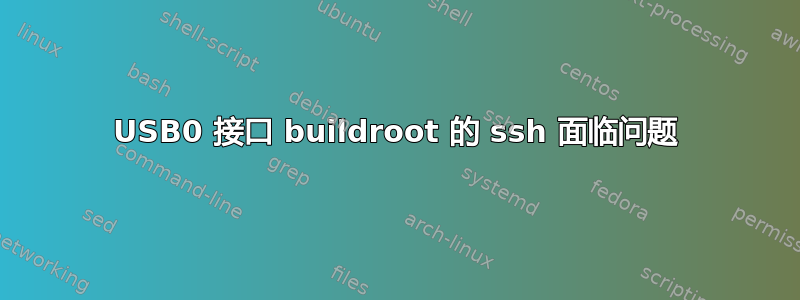 USB0 接口 buildroot 的 ssh 面临问题