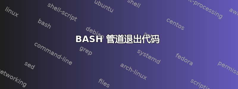 BASH 管道退出代码