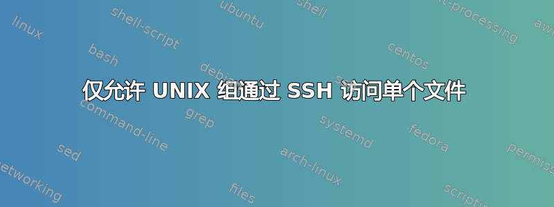 仅允许 UNIX 组通过 SSH 访问单个文件