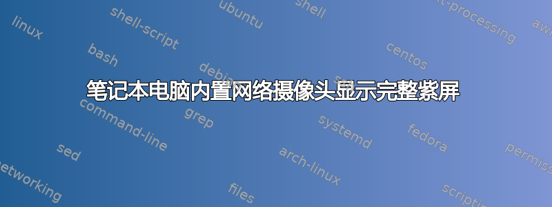 笔记本电脑内置网络摄像头显示完整紫屏