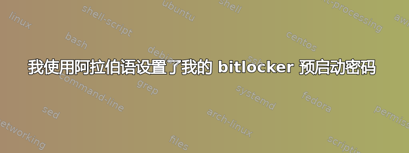 我使用阿拉伯语设置了我的 bitlocker 预启动密码