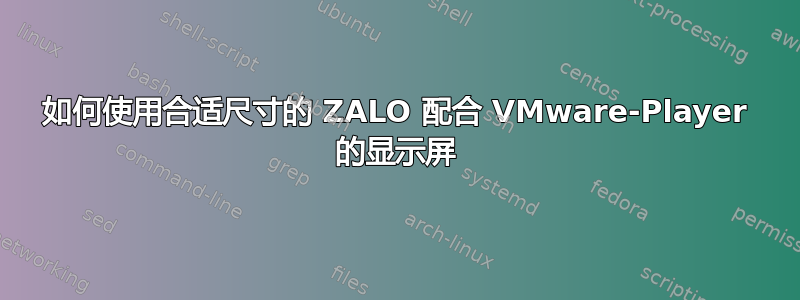 如何使用合适尺寸的 ZALO 配合 VMware-Player 的显示屏