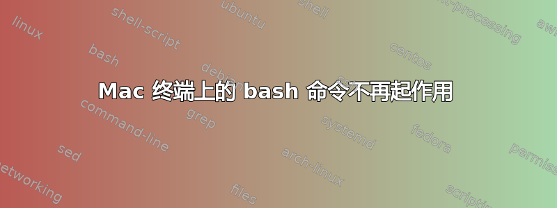 Mac 终端上的 bash 命令不再起作用