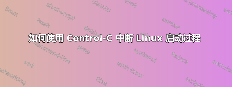 如何使用 Control-C 中断 Linux 启动过程