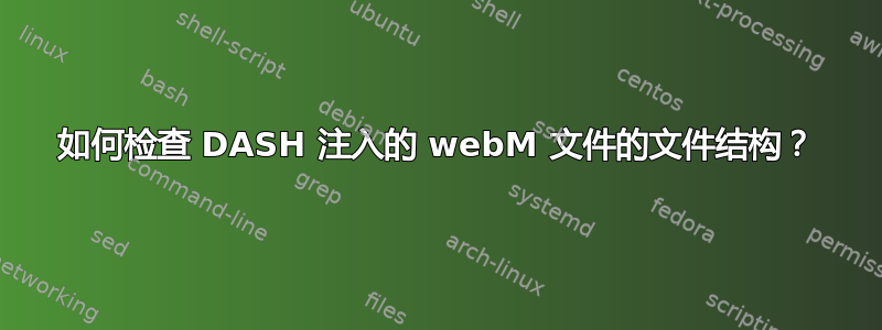 如何检查 DASH 注入的 webM 文件的文件结构？