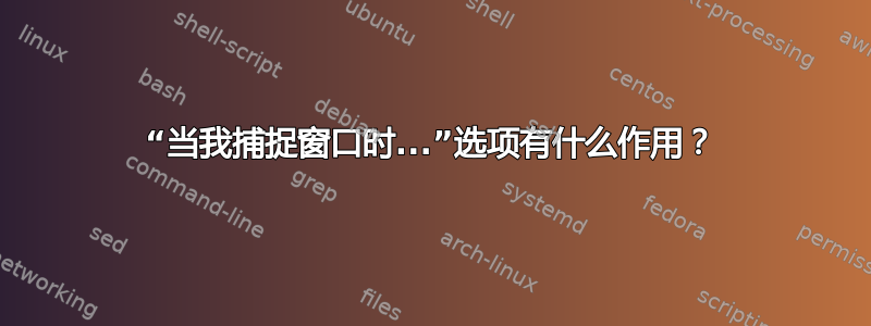 “当我捕捉窗口时...”选项有什么作用？