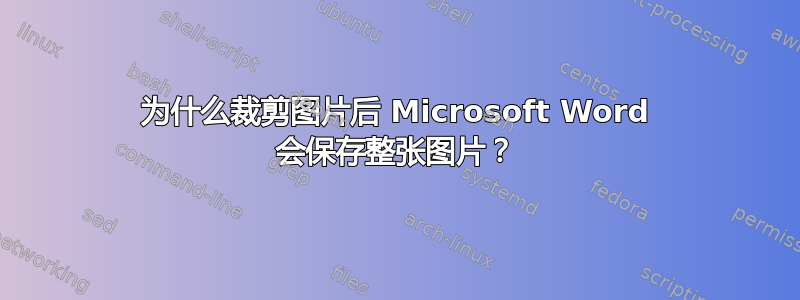 为什么裁剪图片后 Microsoft Word 会保存整张图片？