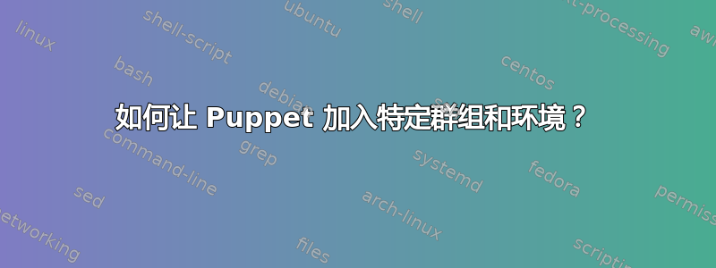 如何让 Puppet 加入特定群组和环境？