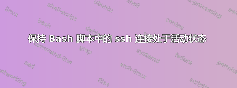 保持 Bash 脚本中的 ssh 连接处于活动状态