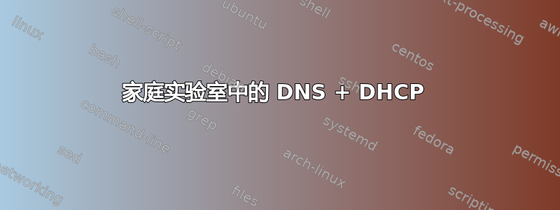 家庭实验室中的 DNS + DHCP 