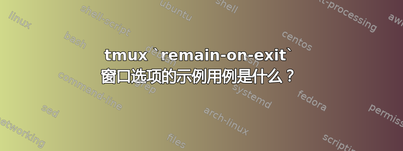 tmux `remain-on-exit` 窗口选项的示例用例是什么？