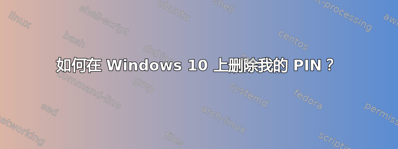 如何在 Windows 10 上删除我的 PIN？