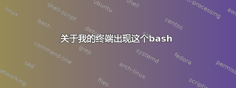 关于我的终端出现这个bash