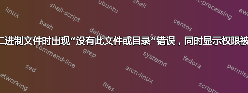 执行二进制文件时出现“没有此文件或目录”错误，同时显示权限被拒绝