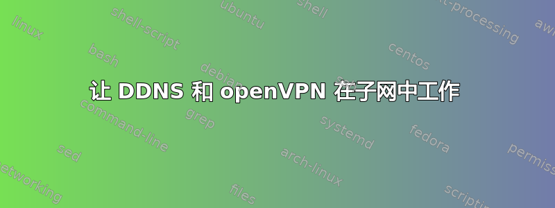 让 DDNS 和 openVPN 在子网中工作