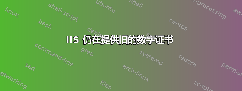 IIS 仍在提供旧的数字证书