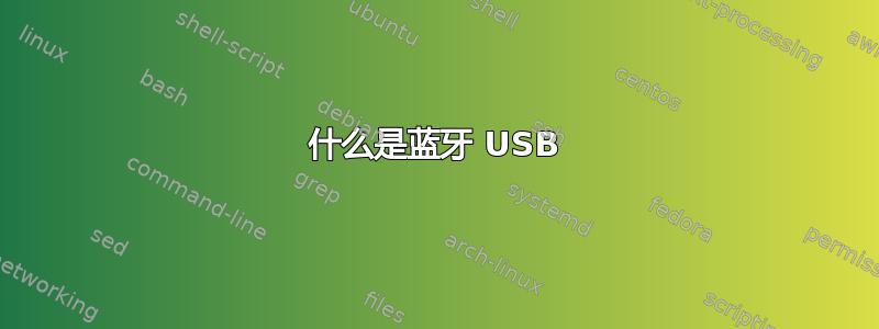 什么是蓝牙 USB