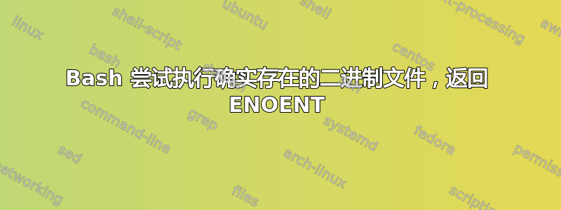 Bash 尝试执行确实存在的二进制文件，返回 ENOENT