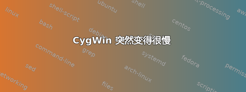 CygWin 突然变得很慢