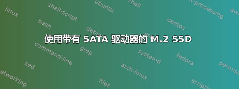 使用带有 SATA 驱动器的 M.2 SSD