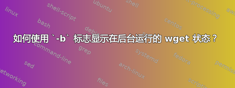 如何使用 `-b` 标志显示在后台运行的 wget 状态？