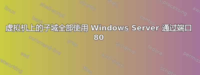 虚拟机上的子域全部使用 Windows Server 通过端口 80