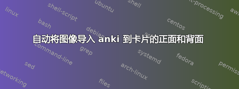 自动将图像导入 anki 到卡片的正面和背面