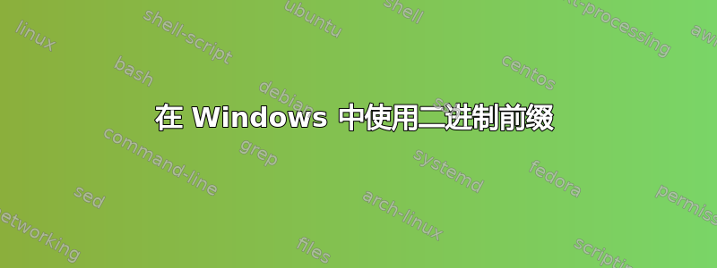 在 Windows 中使用二进制前缀