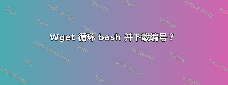 Wget 循环 bash 并下载编号？