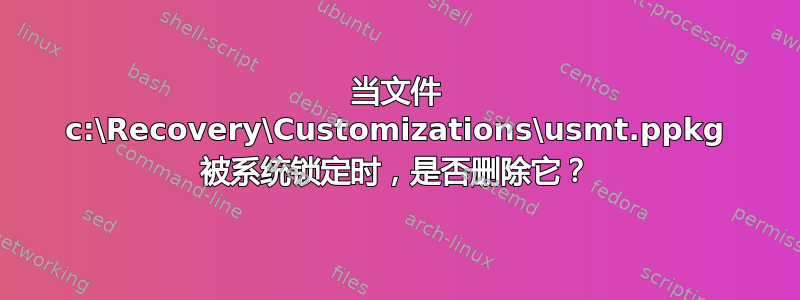 当文件 c:\Recovery\Customizations\usmt.ppkg 被系统锁定时，是否删除它？