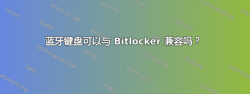 蓝牙键盘可以与 Bitlocker 兼容吗？