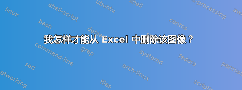 我怎样才能从 Excel 中删除该图像？