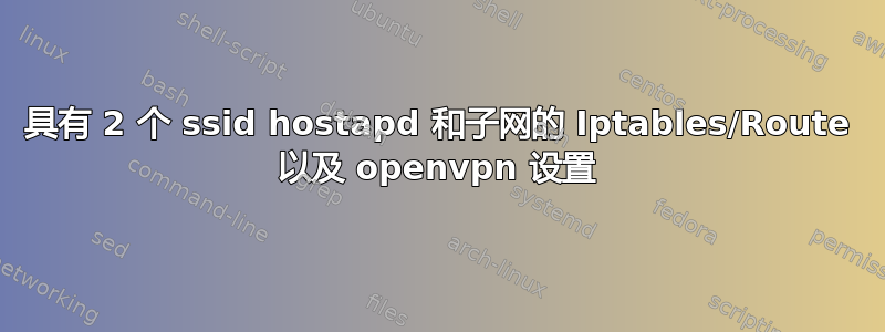 具有 2 个 ssid hostapd 和子网的 Iptables/Route 以及 openvpn 设置