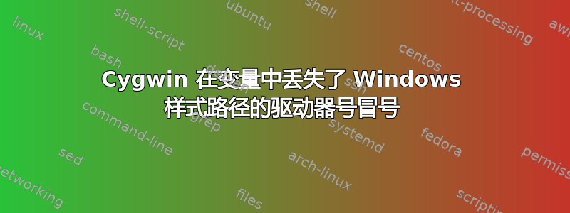 Cygwin 在变量中丢失了 Windows 样式路径的驱动器号冒号