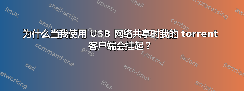 为什么当我使用 USB 网络共享时我的 torrent 客户端会挂起？