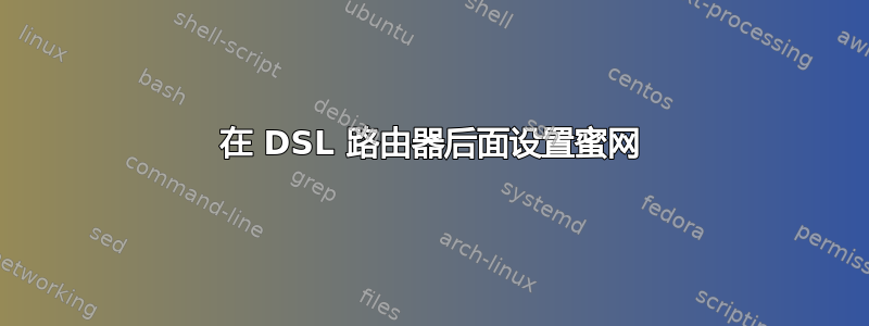 在 DSL 路由器后面设置蜜网