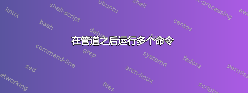 在管道之后运行多个命令