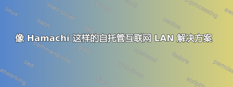 像 Hamachi 这样的自托管互联网 LAN 解决方案 