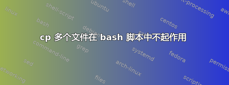 cp 多个文件在 bash 脚本中不起作用