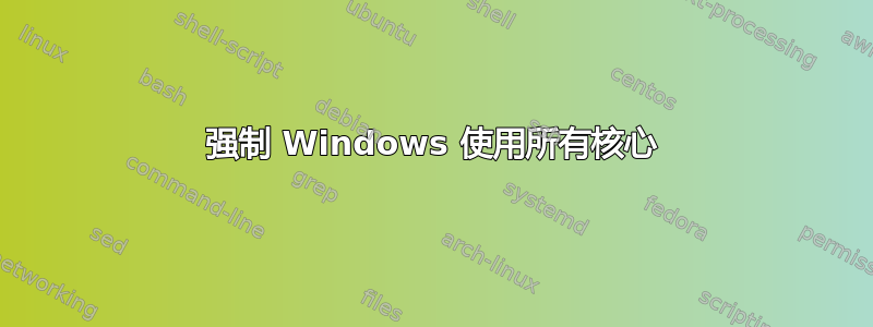 强制 Windows 使用所有核心