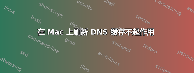 在 Mac 上刷新 DNS 缓存不起作用