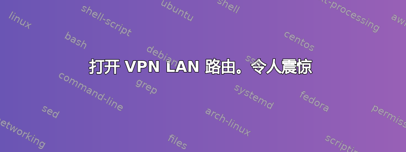 打开 VPN LAN 路由。令人震惊