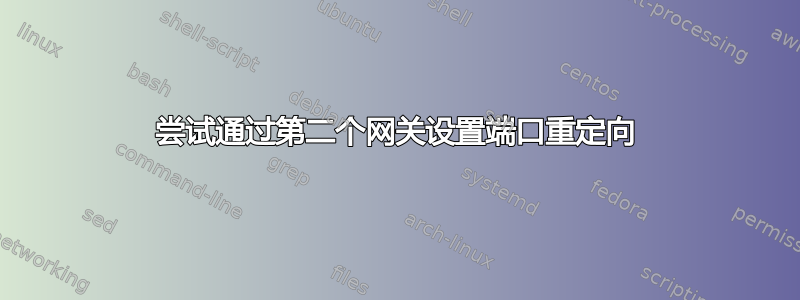 尝试通过第二个网关设置端口重定向