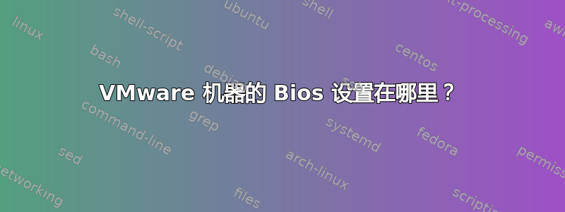 VMware 机器的 Bios 设置在哪里？