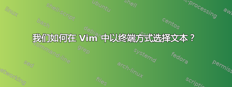 我们如何在 Vim 中以终端方式选择文本？