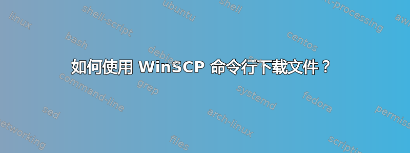 如何使用 WinSCP 命令行下载文件？