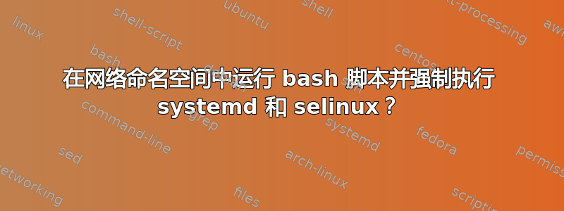 在网络命名空间中运行 bash 脚本并强制执行 systemd 和 selinux？