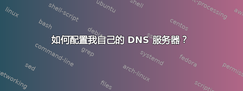 如何配置我自己的 DNS 服务器？